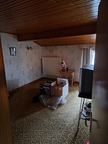 photo no. 5