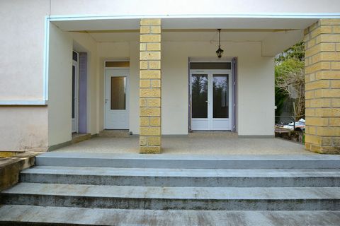 photo no. 12