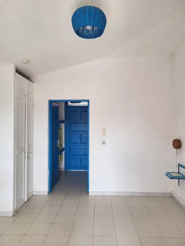 photo no. 11