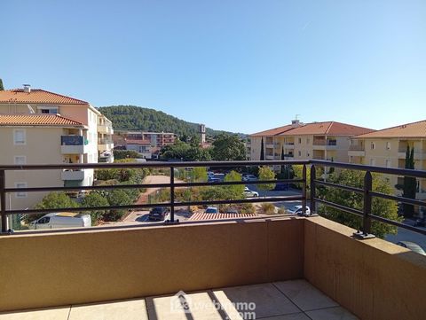 photo no. 14