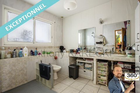 photo no. 7