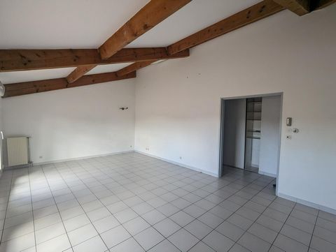 photo no. 2