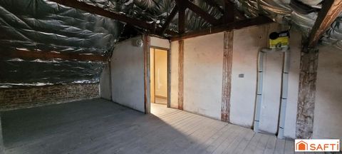 photo no. 17
