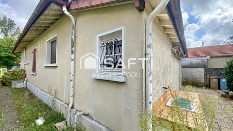 photo no. 7