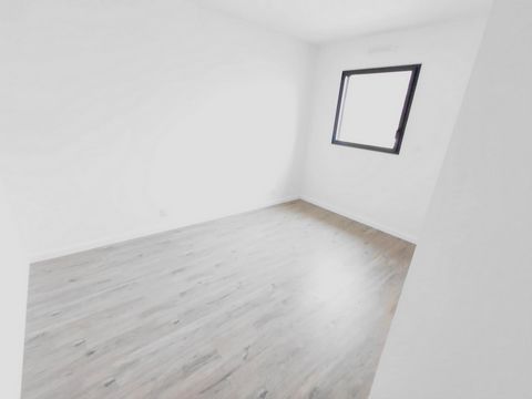photo no. 10