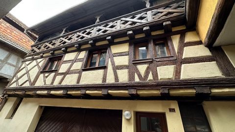 photo no. 4