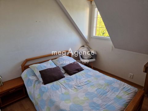 photo no. 12