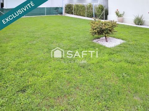photo no. 10