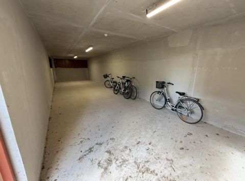 photo no. 10