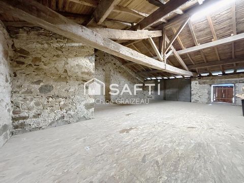 photo no. 8