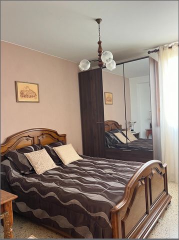 photo no. 7