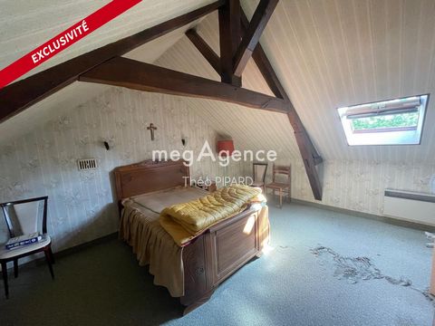 photo no. 5