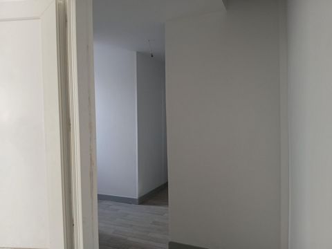 photo no. 8