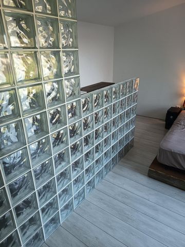 photo no. 12