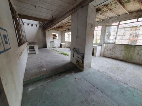 photo no. 3