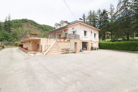 photo no. 13