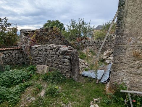 photo no. 7
