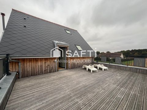 photo no. 11