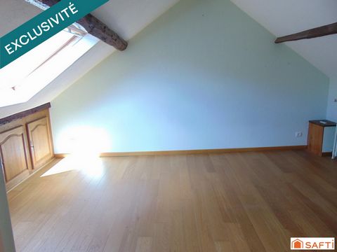 photo no. 12