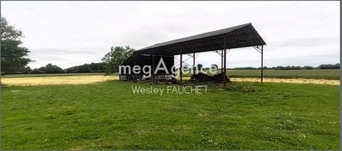 photo no. 15
