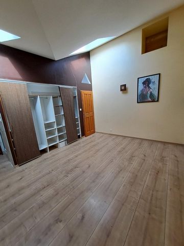 photo no. 12