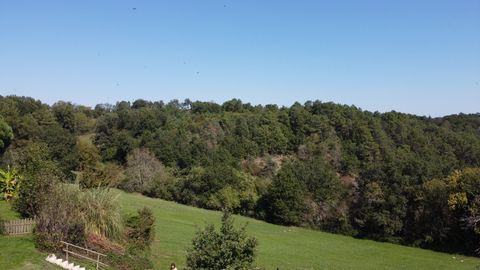 photo no. 12