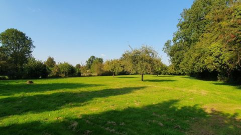 photo no. 17