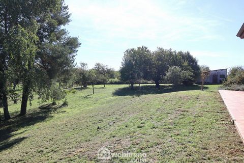 photo no. 10