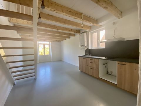 Ensemble de 2 appartements -Centre-ville - MILLAU