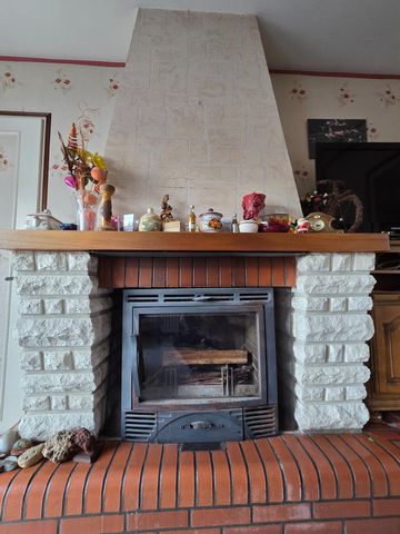 photo no. 6