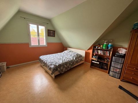 photo no. 10