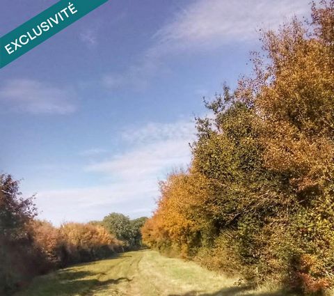 Forêt de chasse de 69 hectares à BENON