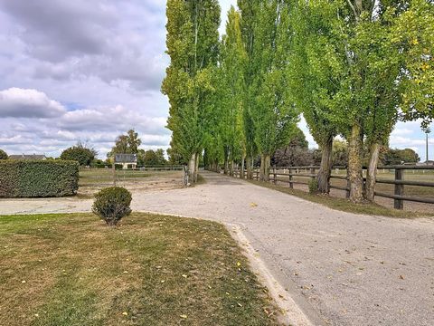 photo no. 16