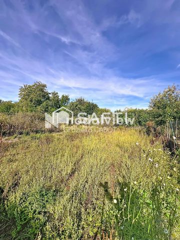 photo no. 16