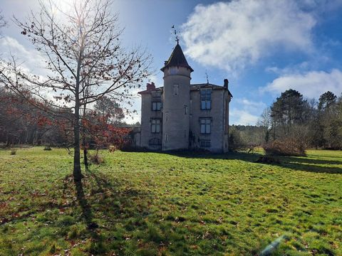 Château du 19°siècles