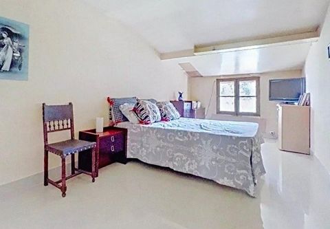 photo no. 11