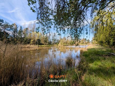 Etang de pêche ombragé