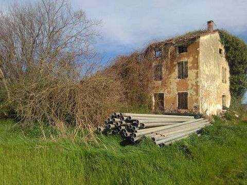 Farmhouse in need of complete structural renovation with agricultural land. The farmhouse is on three levels and has an area of 800 sq m. The land of 20,000 square meters is arable land cultivated with wheat and is entirely flat. The property is loca...
