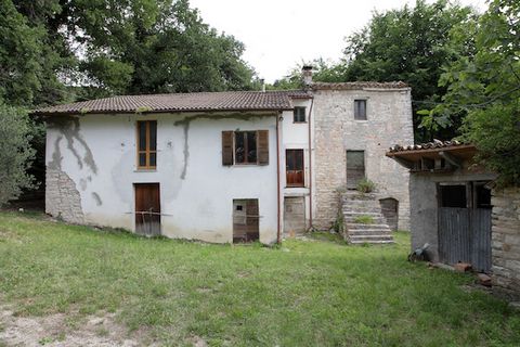 2-bedroom farmhouse Stone built farmhouse (partly plastered), original renaissance watchtower and shed. Possibility to personalize the renovation with little financial effort: there are already quotes and estimates. The size is about 280 sq m, while ...