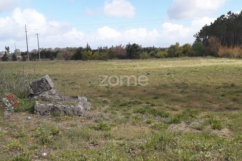 Property ID: ZMPT548910 Land located in the parish of Tocha, in place of Pereirões, with an area of 4 432 m2, suitable for construction of single-bedroom villa or villa with ground floor and 1st floor. Excellent opportunity to build your dream villa ...