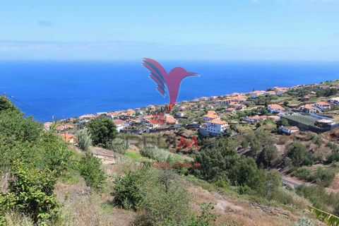 Terreno Misto com 6180 m2 em Gaula - Ilha da Madeira Boa exposição solar, vista mar. - Terreno agrícola e com capacidade para construir  moradia,  - Boa frente de estrada. - Transportes Públicos. - Zona calma e sossegada. - Gaula é uma terra de bonit...