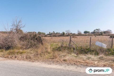 We are pleased to present you today a unique opportunity: an exceptional agricultural land located in Lunel-Viel, in the Languedoc-Roussillon region. This plot has an area of 5,000 square meters and offers stunning views of the surrounding landscapes...