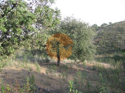 Rustikales Land von 5560 m2 Das Hotel liegt in der Nähe des malerischen Dorfes Corte do Gago in Azinhal, Castro Marim - Algarve. Land mit gutem Zugang. Es hat zwei verschiedene Zugriffe. Land mit einigen Bäumen und Olivenbäumen In der Nähe des Bunk-S...