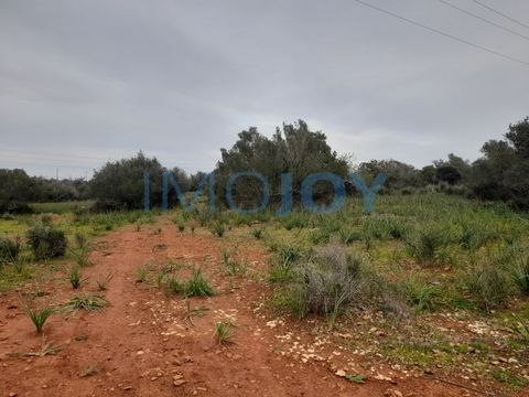 Land located in Zimbral Medeiros in Silves with an area of 23711 m2, good for agriculture or placement of solar panels. This land is located 10 minutes from Silves commerce, restaurants, bars, the Arade River, silves castle, schools, cork factory and...