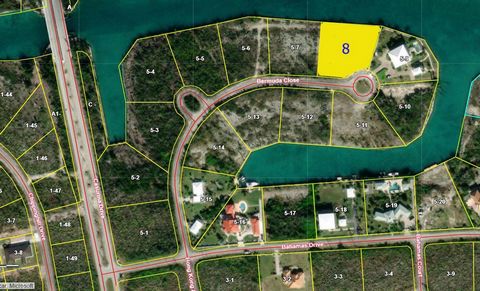 Great lot located in Colony Bay Subdivision on Bermuda Close. This lot is measured at 42,927 square feet with over 200 feet on the water. Only 10 minute drive from downtown Freeport.