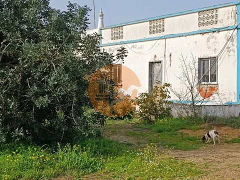 Single storey house, close to Fonte, on Rio Seco - in Castro Marim - Algarve. Land with orchard. Many Citrus trees in production. With olive trees and other trees. Flat land, with a water line crossing the land. Property with mains water and electric...