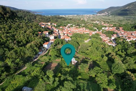 Property Code. 11415 - Agricultural FOR SALE in Thasos Potamia for €7.000 . Discover the features of this 522 sq. m. Agricultural: Distance from sea 2700 meters, Distance from nearest village: 300 meters, The office of Thassos Realestate is located o...