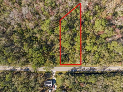 Ideal opportunity to own property in a prime Davenport location. This land is not buildable for a structure. Agricultural us only!!! Only 1 mile to your Publix and access to the Poinciana Pkwy and 5 miles to all the shopping/dining venues in Champion...