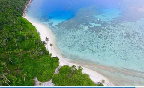 Semut presents a rare gem: a vast expanse of over 23 hectares in Matak, featuring dual private beachfronts and immediate development zoning. This prime land boasts sprawling coconut groves and expansive, captivating beaches, offering prospects for fu...