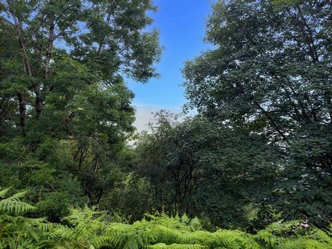 Dans la Vallée de Saint-Amarin, venez découvrir en exclusivité, ce beau terrain constructible d'environ 15 ares. Il se situe sur les hauteurs de Fellering dans un cadre bucolique à quelque minutes de Thann: calme garanti, et environnement de rêve pou...